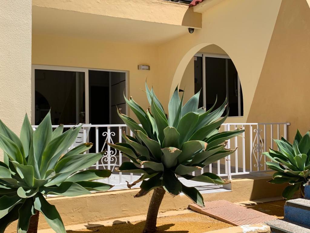 Costa Adeje-2 Bed.Apartment With Double Terrace Eksteriør bilde